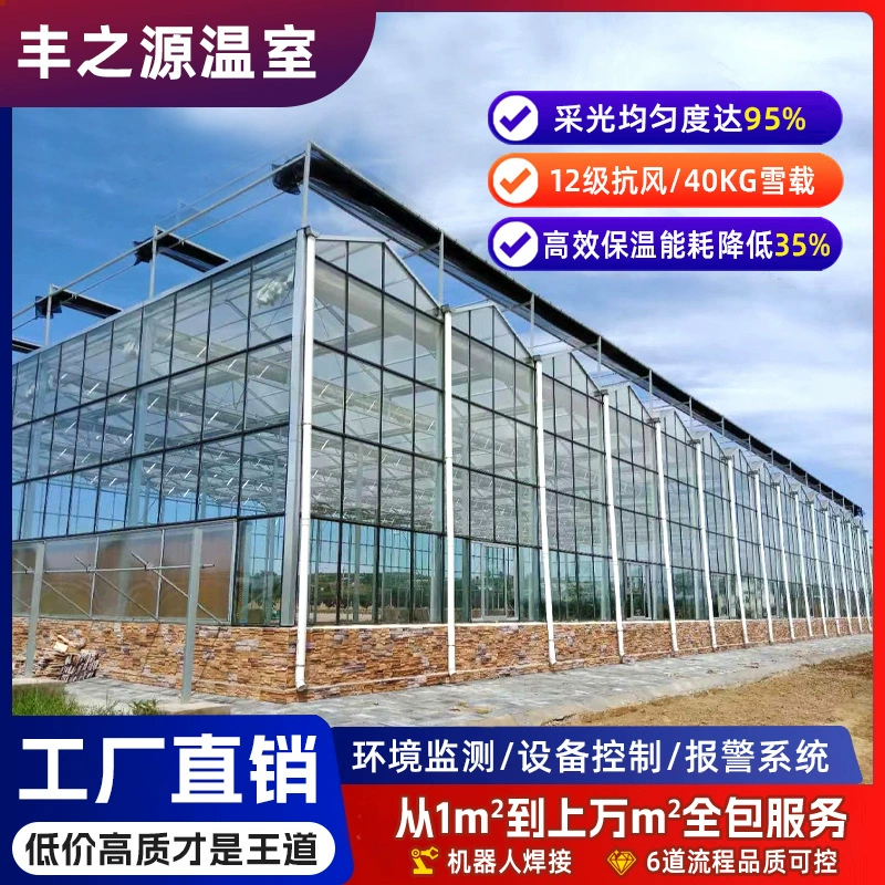 Lianadong теплица интеллектуальная стеклянная теплица теплица новая посадка теплицы каркаса производства и обработки с контролем температуры интеллектуальная теплица
