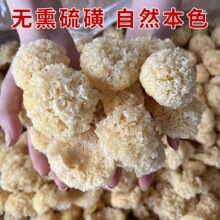 �a��ֱ��������ľС�y��ɢ�b���l�y����؛��ѩ��С�y�����l