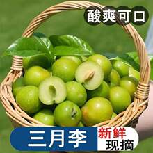 2026���r���������ӑ���ˮ���������ˬ�ڬFժ���������l