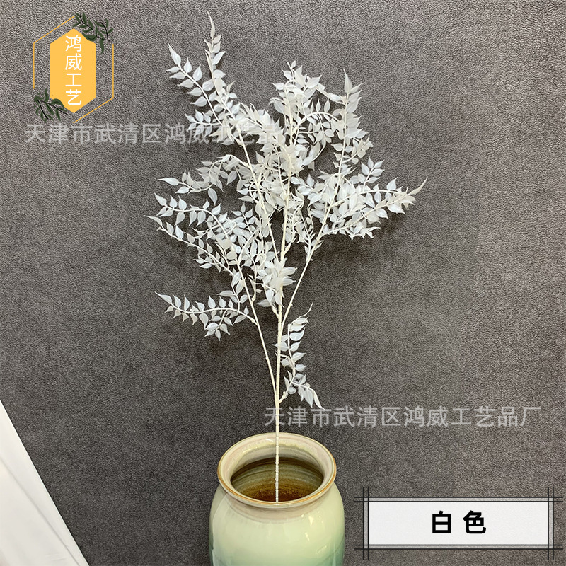 白色_副本.jpg