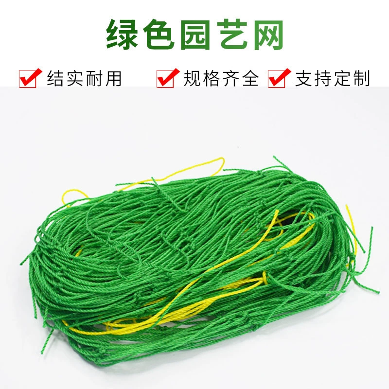 Растения, скалолазание, зеленая садовая сеть, цветочная сетка, сетка, сетка, хризантема, сельдерей, лилия, ветростойкая, стойкая к полеганию сетка