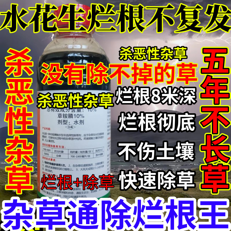 水花生烂根不复发精草铵膦铵盐果园小飞蓬耕地强效除草剂烂根王