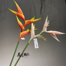 @ˇĻֲbƷ    нӷ͏dˇkˇ;Ʒ