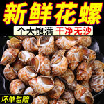 花螺鲜活冷冻新鲜海鲜螺类海螺香螺东风螺贝类大猫眼螺冰冻批发