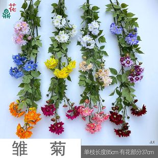 �r�� ̫ꖾ� ������ꐔzӰ���߲廨���滨 �@ˇ����쾰��������