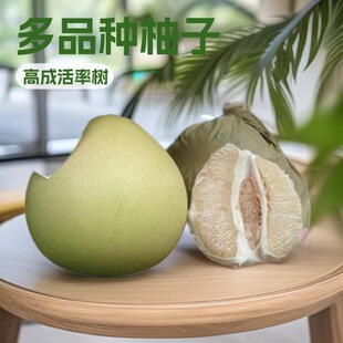 ˮ��������������t�����S�����ĵ������t����ɳ���ֶ�Ʒ�N�x��