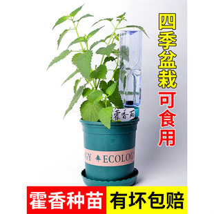 ���r޽����ʳ��޽��������N���ļ��������̨������ݻ�����