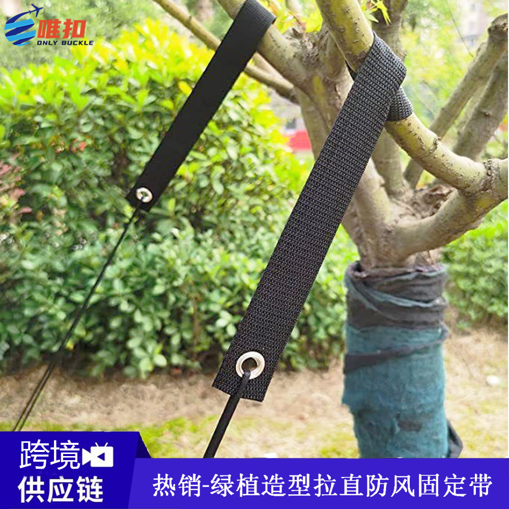 跨境直供防风树带树木苗圃新种植苗木放飓风定性固定带气眼固定带