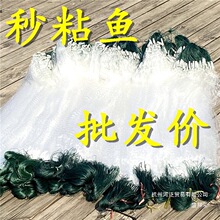 SֱNOW~~ָճWzWӆΌӒWճOWWחlW