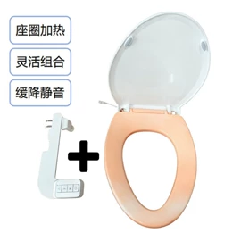 智能马桶盖;普通马桶盖;马桶喷枪