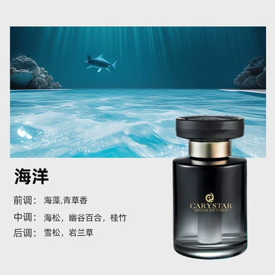 Car Perfume Aromatherapy, Perfume, High-End Car Scent - gradient-black-ocean