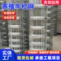 修复草原生态定制钢丝网