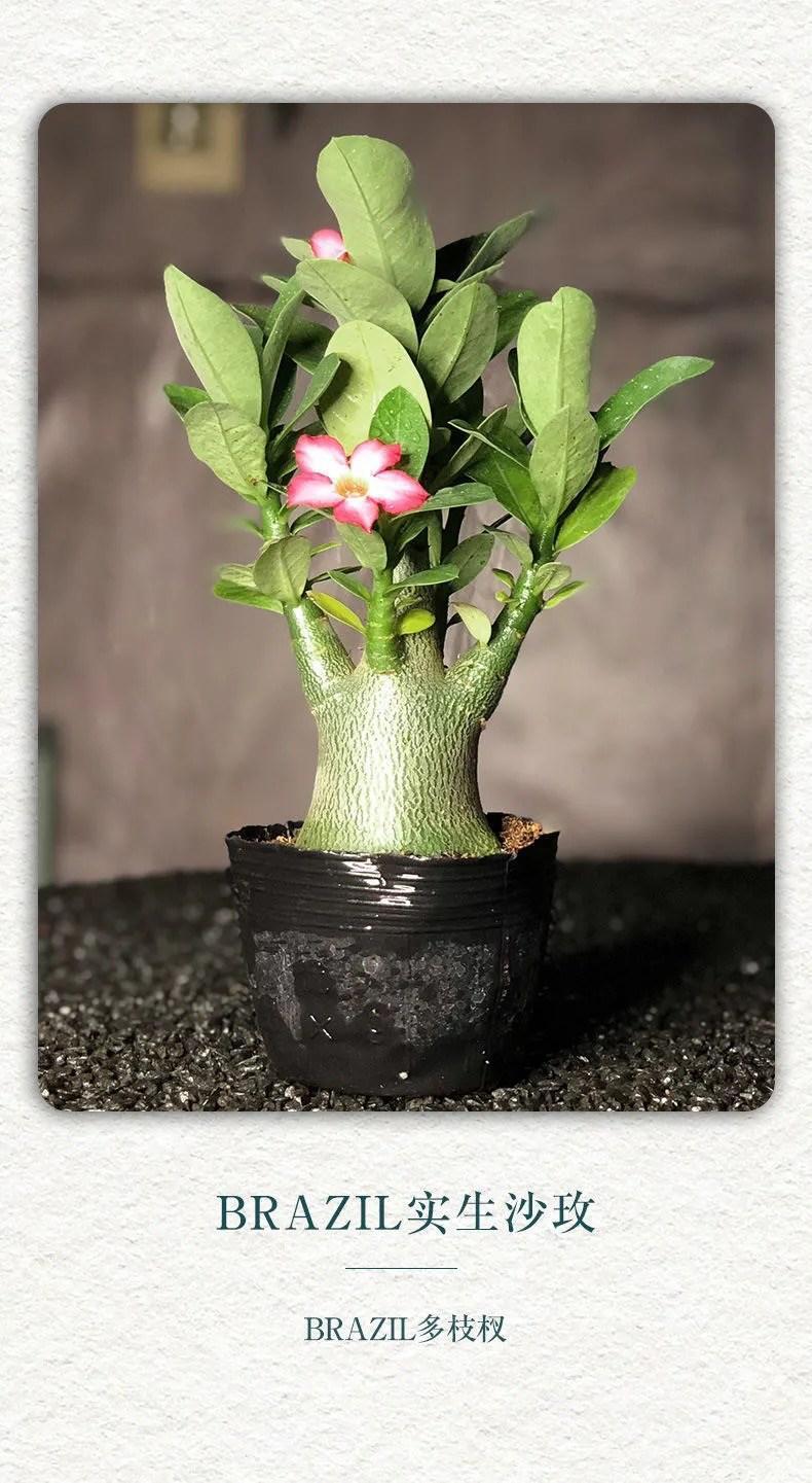 86405e5e-47b8-4181-a3b7-87f4d60d66fe.jpe