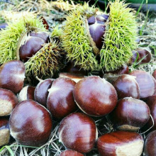 ����������� ������ ���_������ �޽����Ә����Ϸ������Nֲ����