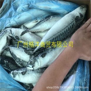 ԭ�l�໨�~�����~ԭ�l���^��β�໨�~400-600��Ҏ������ ����r��