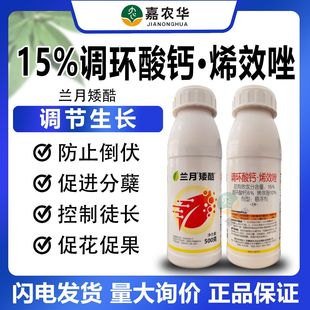 15%�{�h���}&middot;ϩЧ��ˮ��ֲ�����L�{������ֹ��������ͽ�L��Ʒ