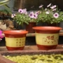 大口径加厚印花圆形花盆