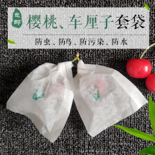 樱桃专用套袋车厘子草莓樱珠大樱桃树果袋小梨袋纸袋防虫防鸟防裂