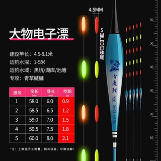 大五目LED灯超亮尾跑铅飞铅无铅大物电子夜光漂配电池鱼漂浮漂