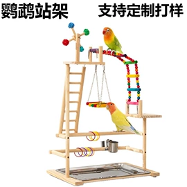 鸟类;其他小宠用品;仓鼠