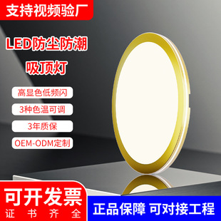 Amazon's Popular Sensor Three-Proof Ceiling Lamp 3Cct Dimming Eye Protection Bedroom Lamp Moisture-Proof and Mosquito-Proof Ceiling Lamp