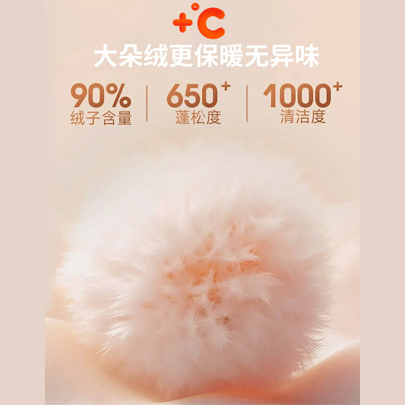 跨境羽绒服女立领轻薄秋冬新国标羽绒内胆韩系纯色白鸭绒外套批发|undefined