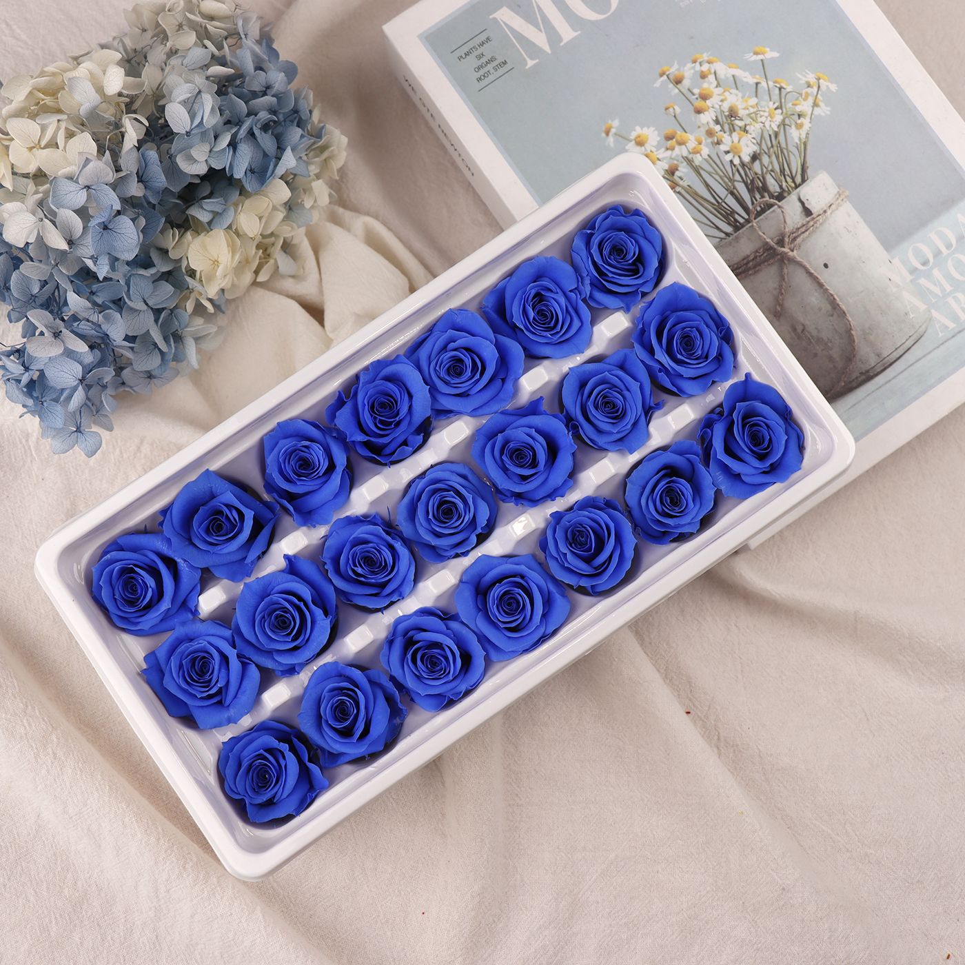 Rosa Preservada A+ de 2-3 cm, Flor Real, Material Floral para el Día de San Valentín, Material Floral al por Mayor de Yunnan, Regalo para el Día de la Madre, Material Floral para Manualidades