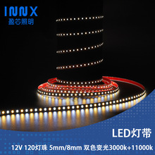 12V120灯三色变光LED灯带5/8mm加厚耐高温高流明12W低压省电护眼