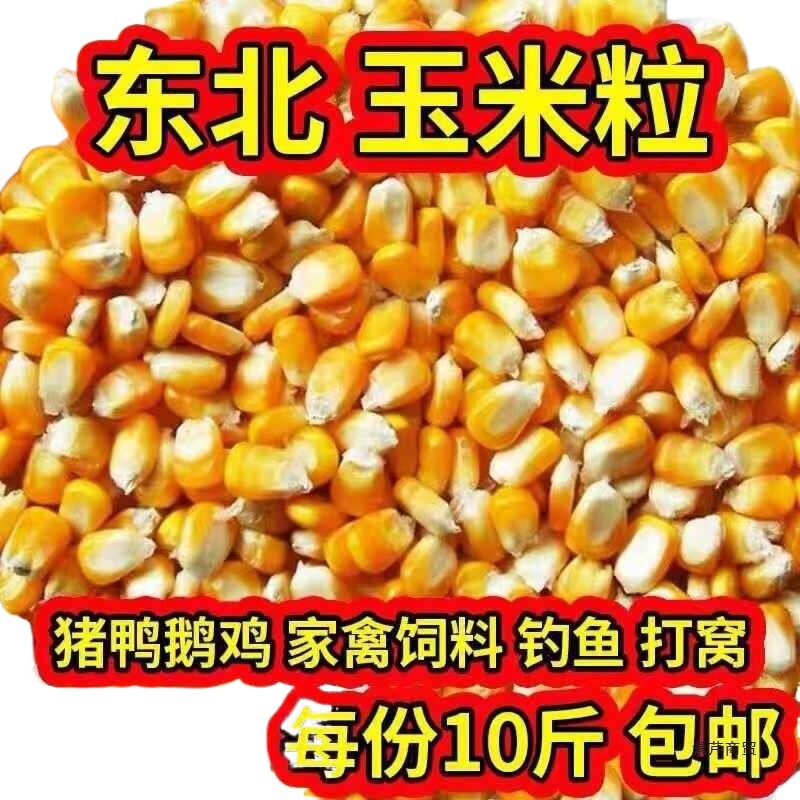 5kg 送料無料新到着農家昔ながらの乾燥トウモロコシ粒雑穀釣り巣作り鶏、アヒル、ガチョウ、ハトの餌用イエロートウモロコシ粒|undefined