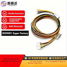 Custom JST wire harness manufacturer JST 2.0MM wire harness