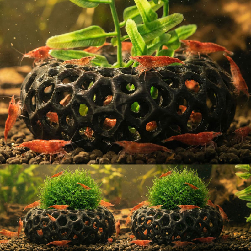 Cross-Border Hot-Selling 3D Printed Circular Fish and Shrimp Breeding Hideout, Fish Tank Landscaping, Pla Biodegradable, Size Customizable Cross-Border Hot-Selling 3D Printed Circular Fish and Shrimp Breeding Hideout, Fish Tank Landscaping, Pla Biodegradable, Size Customizable