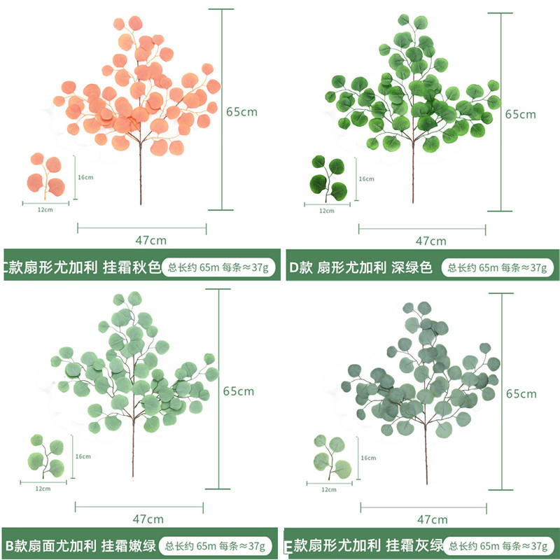 IMG_9054_副本_副本