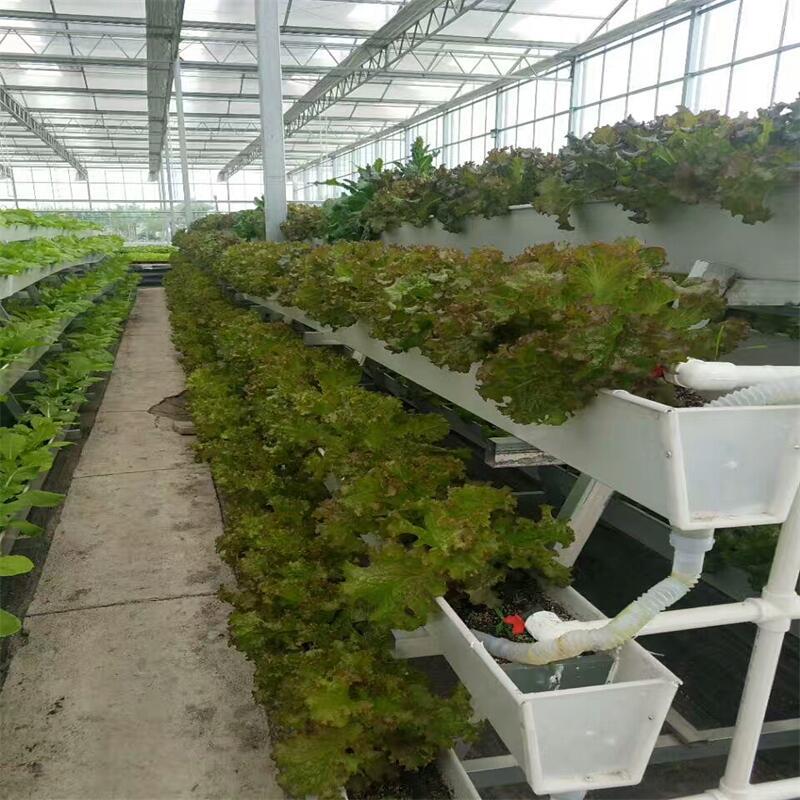 Vegetales sin suelo Un estante tanque de plantación tridimensional de varios tamaños y modelos de vegetales de hoja suministrados por fabricantes de tubos cuadrados hidropónicos image 5