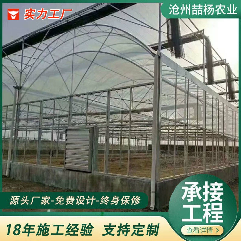 Мульти-строительная изоляция теплицы сельскохозяйственные посадки теплица двухарочная Двухрежимная теплица мульти-строительный изоляционный сарай для теплицы