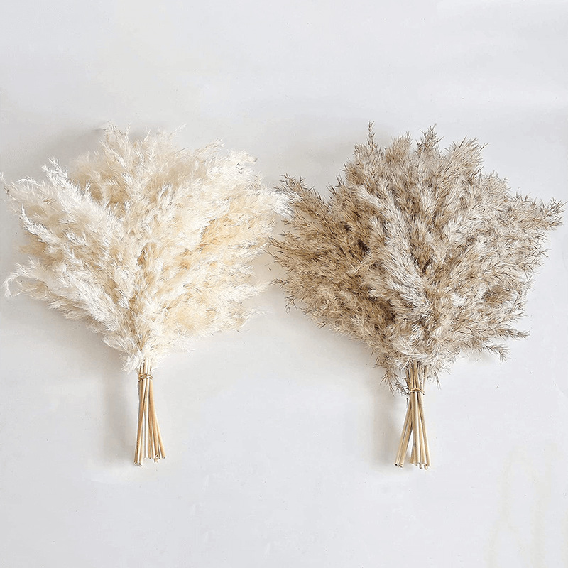 흰 갈대 10 꽃다발