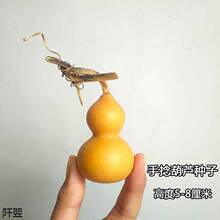 ���羳��؛��ͥԺ�Nֲ�ش���С�������J�Ѿ��ʹ���J����������J