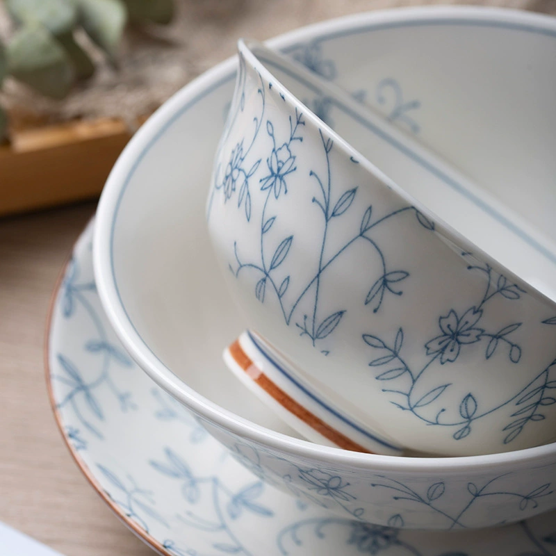Керамическая посуда набора из Jingdezhen: цветная глазурованная посуда для дома, миски и тарелки, крупные миски и миски для лапши, суповые миски, посуда из керамики