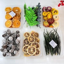 天然植物果实素材干花包干果果壳 创意手工DIY幼儿环创永生花相框