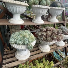 北歐風耐用塑料花盆園藝戶外羅馬盆羅馬組合花盆高腳花盆圓形花盆