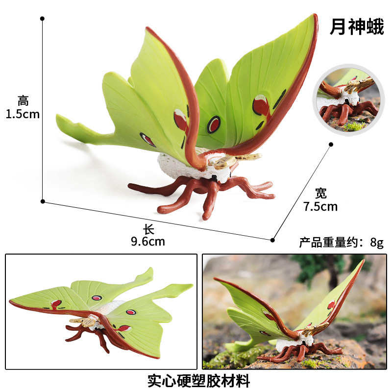 KZ Moon God Moth (single model)
