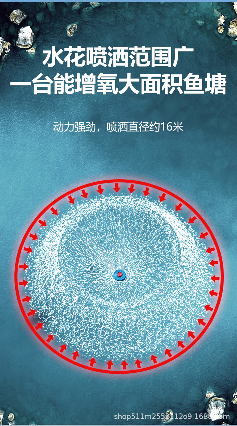 详情页_11.jpg