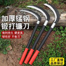 �¿�砵���ݵ��r�ù����i�呴�砵��ؿ��L����ն����֦��砵�
