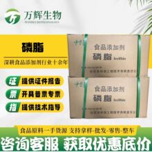 批发供应磷脂 食品级磷脂颗粒 改性大豆磷脂 中创粉末卵磷脂