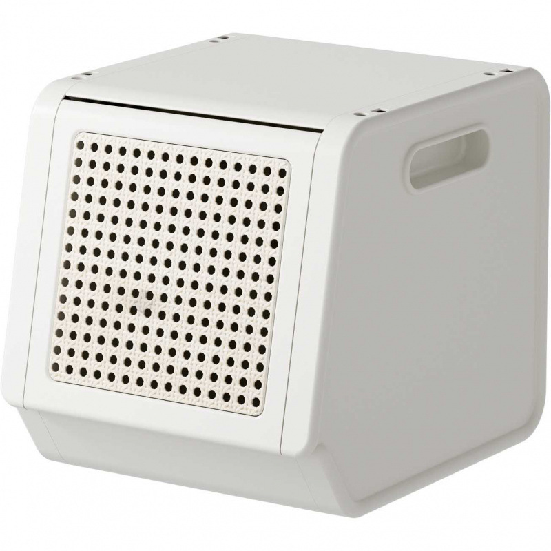 б���������ͯ����������������������������������Ϲ���