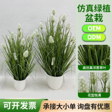 羳́RdWҾӷGֲԷz[҃b