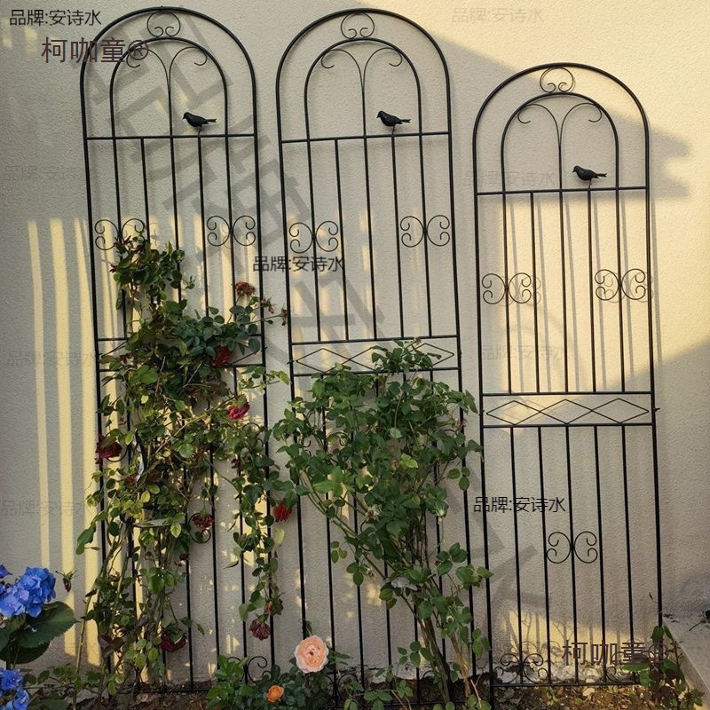 铁线莲月季爬藤架子蔷薇植物攀爬网支架户外庭院铁艺花园栅麦太保