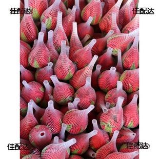 õ�廨�r�������������ֱ�l�tõ�廨��������տ��r�����f��̫��