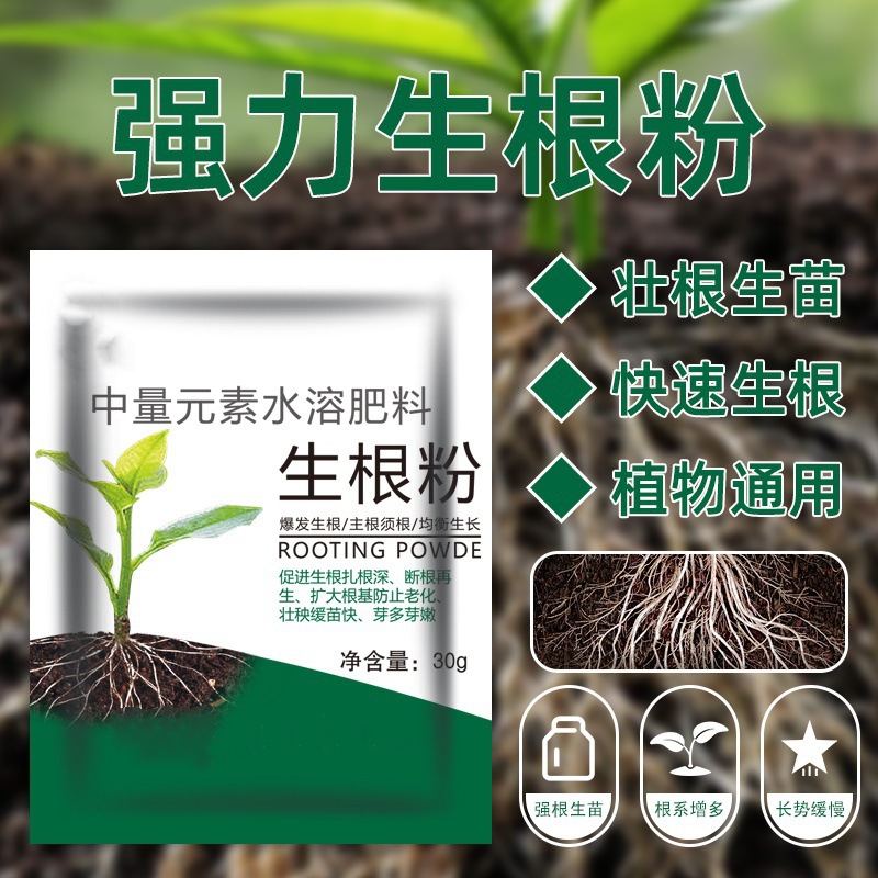 厂家植物生根粉通用壮苗剂多肉绿萝花卉扦插粉快速强力批发月季