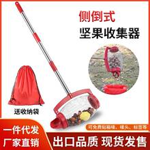 亚马逊新品热卖侧倒坚果收集器捡果器捡核桃板栗高尔夫球园林工具