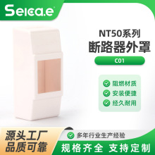 NT50外罩C01漏电断路器开关家用2P30A20A15A小型电源过载电闸